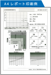 API/AVI測定結果画面・レポート2