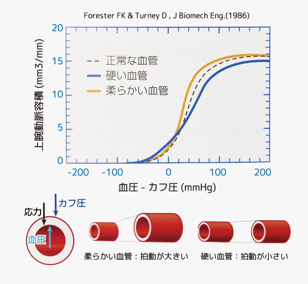 API/AVI測定結果表1